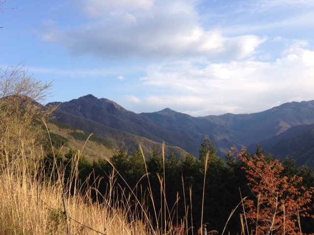 第113歩　登山　東京都最高峰『雲取山2,017m』